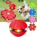 FlyBall - Bola Voadora para Cães