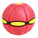 FlyBall - Bola Voadora para Cães