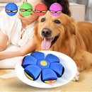 FlyBall - Bola Voadora para Cães