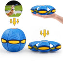 FlyBall - Bola Voadora para Cães
