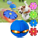 FlyBall - Bola Voadora para Cães