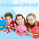 FlyBall - Bola Voadora para Cães