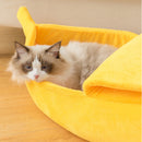 Caminha banana para Gatos