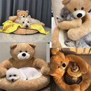 Caminha Abraço de Urso
