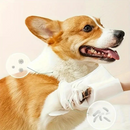 Luvas Umedecidas para Banho a Seco