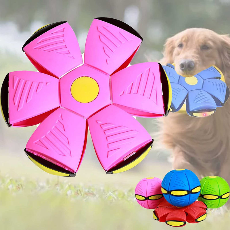 FlyBall - Bola Voadora para Cães