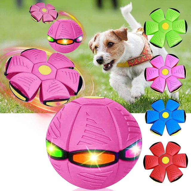 FlyBall - Bola Voadora para Cães