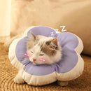 Cone de Recuperação Flor