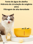 Fonte de Água Abelha