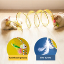 TúnelCat - Túnel dobrável para gatos