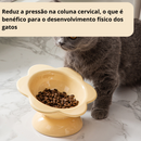 Comedouro Elevado de Cerâmica Flor