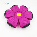 FlyBall - Bola Voadora para Cães