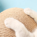 Bola Arranhadora para Gatos