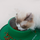 Tigela com Tapete Antiderrapante